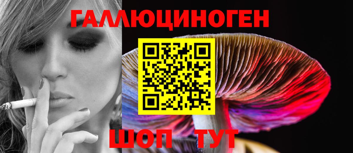 Галлюциногенные грибы прущие грибы  Вход с VPN  Сердобск 