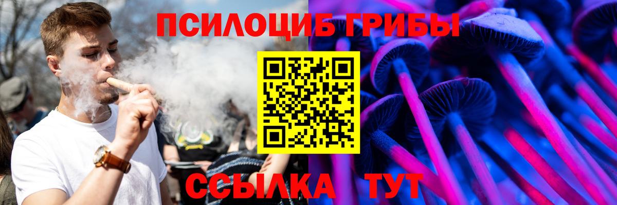 Галлюциногенные грибы прущие грибы Сердобск